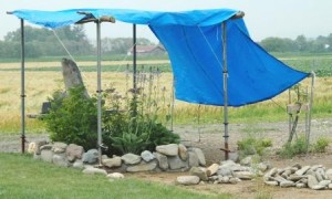 暑さと雨対策のためにシートをはる。