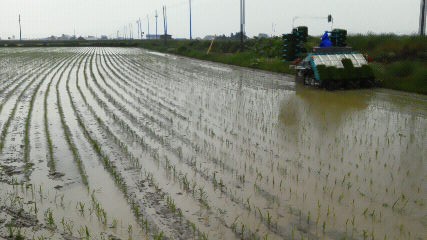 NEC_0023